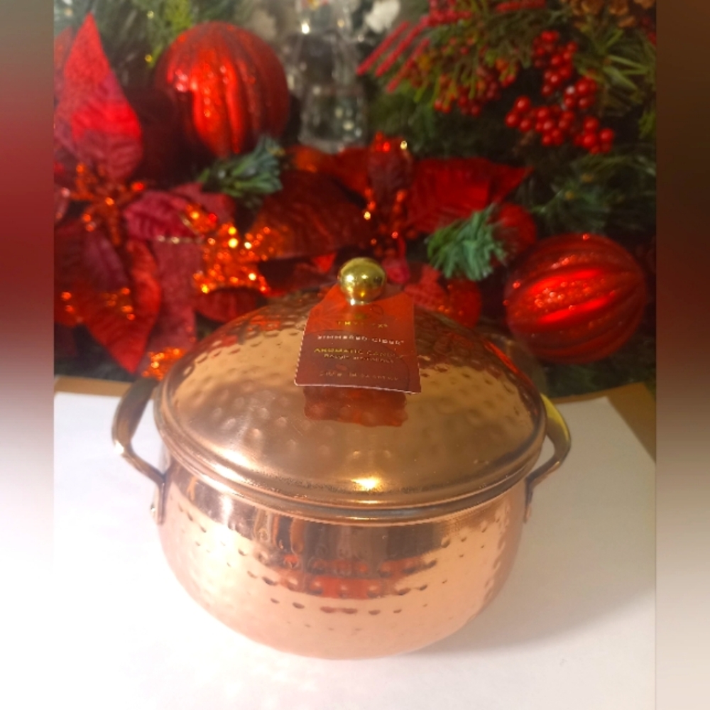 Thymes Copper Pot Candle Simmered Cider - 18 oz